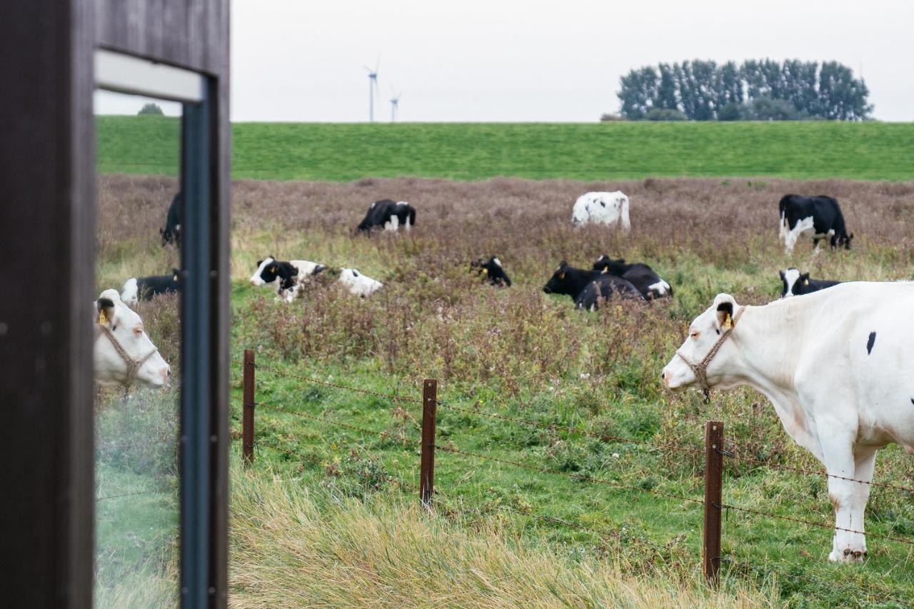 Tiny House Nature 13 Zur Kuhweide - Green Tiny Village Harlesiel Carolinensiel Luaran gambar